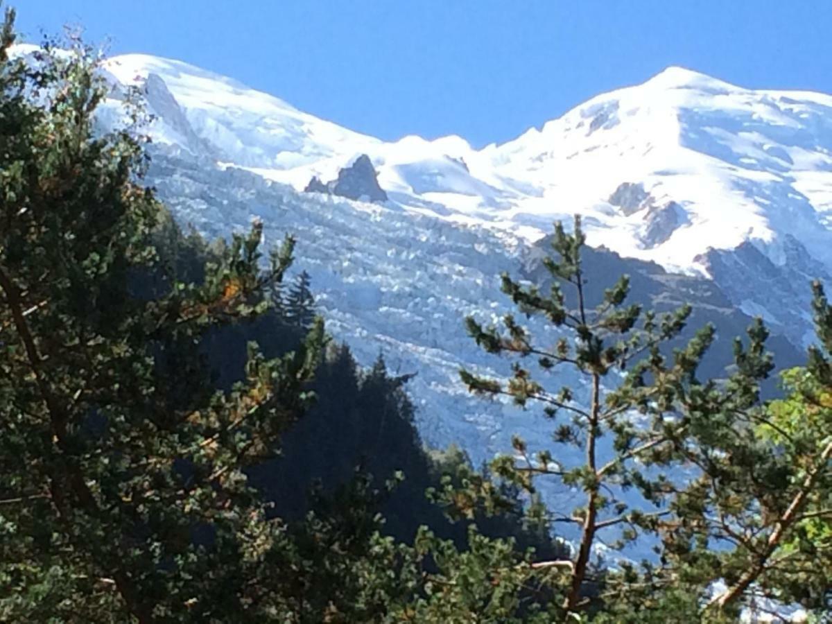 Chalet Des Petits Loups Chamonix Zewnętrze zdjęcie