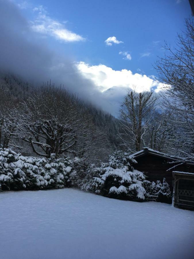 Chalet Des Petits Loups Chamonix Zewnętrze zdjęcie